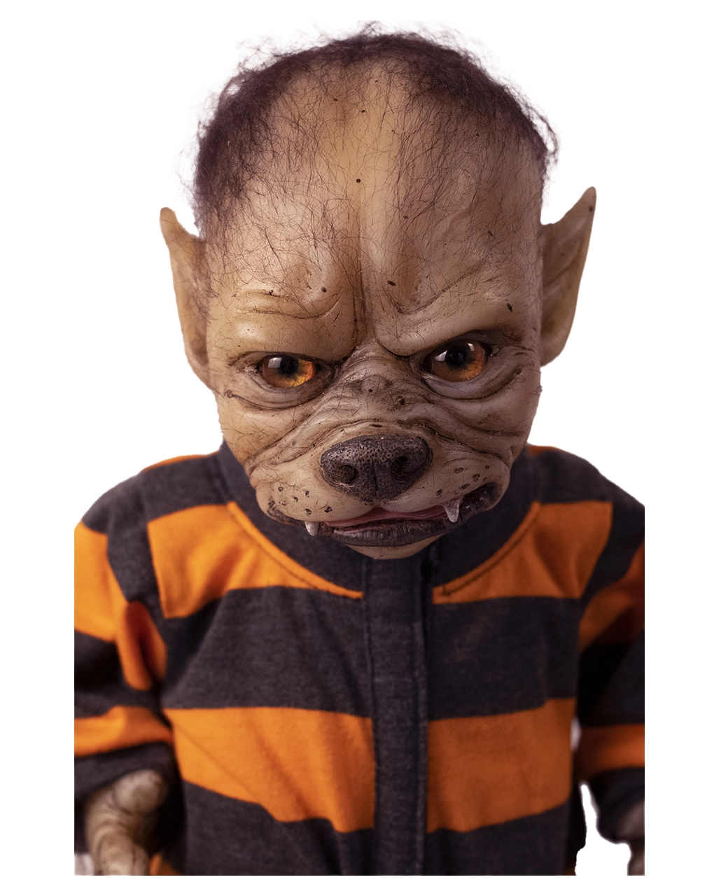 Cooper "WerePups" Werwolfbaby – Bild 5