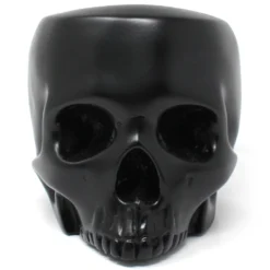 Kieferloser Totenkopf Behälter